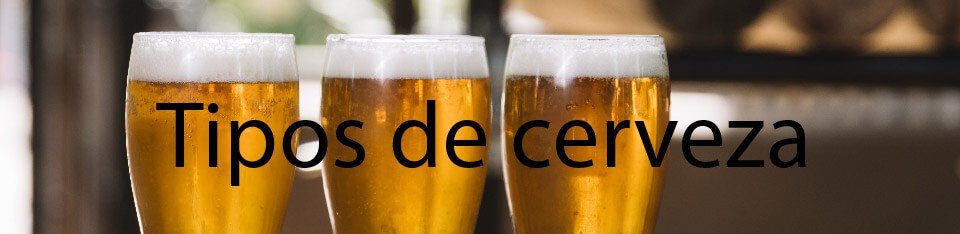 Tipos de cerveza el paraíso de la cerveza banner