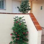 Cervecería Hotel Rosaleda 