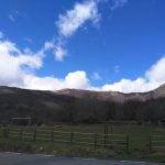 Cervecería Asociación de Amigos de El Cardoso de la Sierra. 